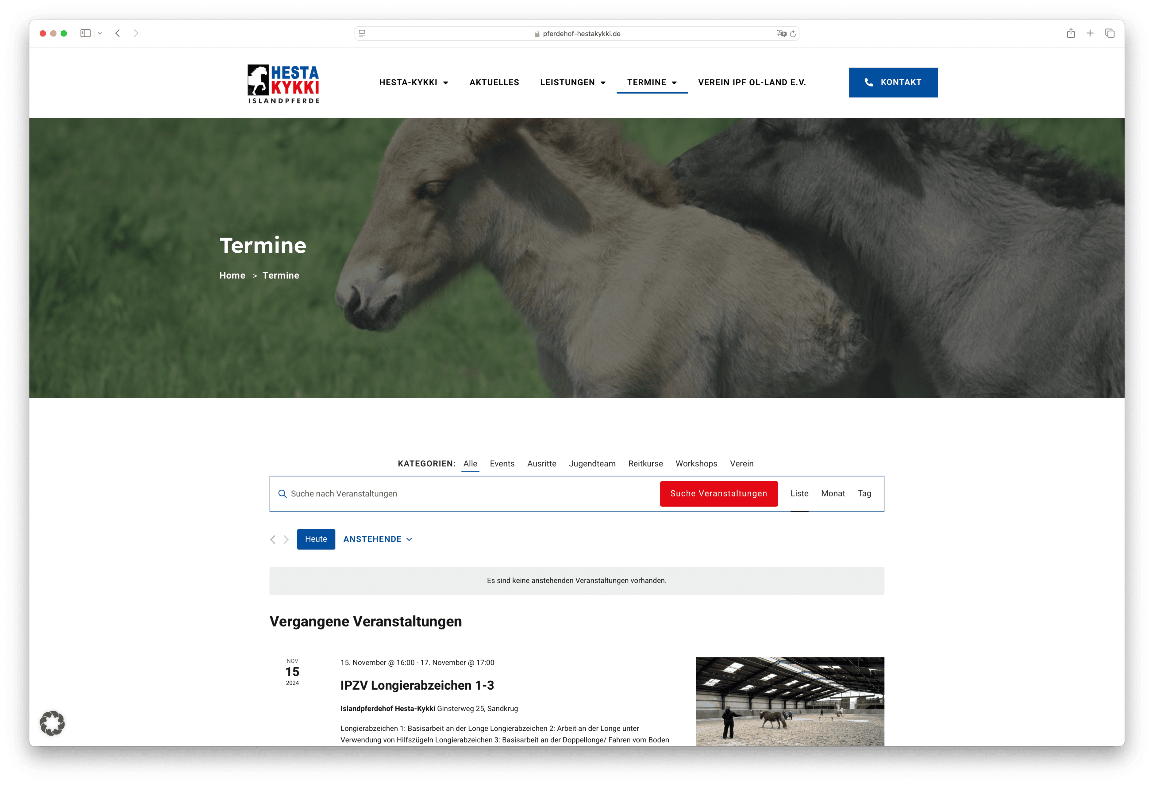 hesta-kykki-case-termine